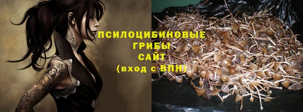 стаф Арсеньев