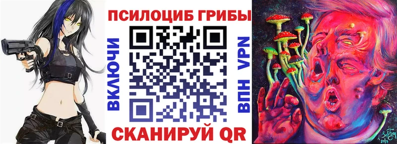 где можно купить   Лосино-Петровский  Галлюциногенные грибы MAGIC MUSHROOMS 