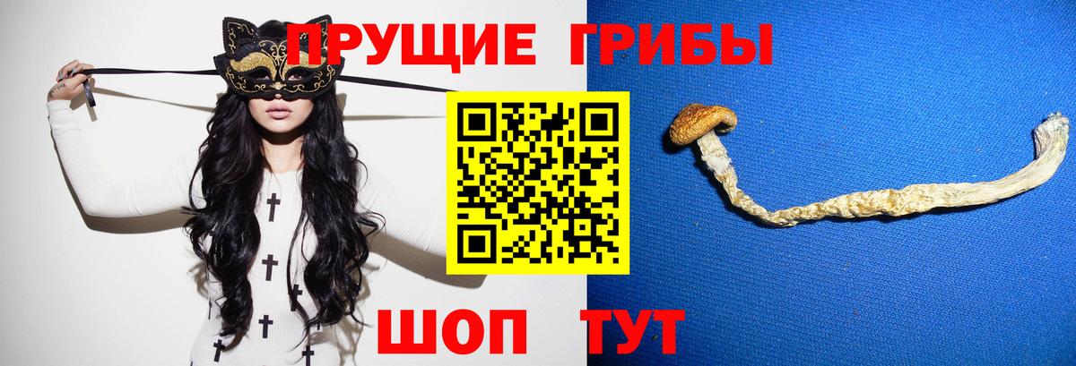 Галлюциногенные грибы MAGIC MUSHROOMS Лосино-Петровский