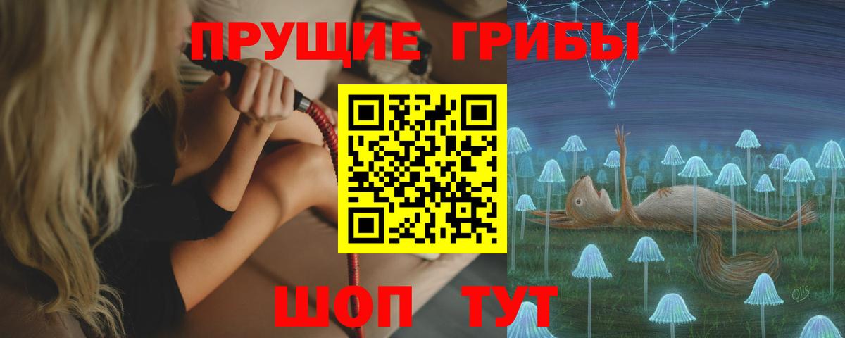 Лосино-Петровский  Псилоцибиновые грибы MAGIC MUSHROOMS  Вход с VPN 